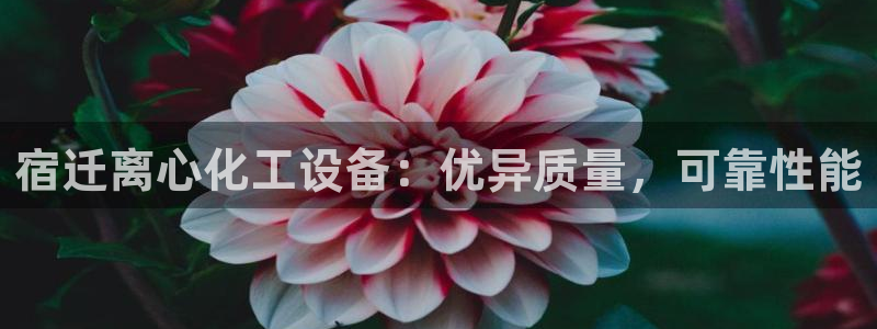 门徒娱乐app代理加盟怎么样