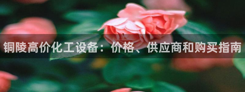 门徒娱乐是做什么的