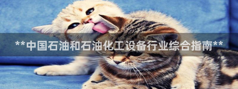 门徒娱乐控制器