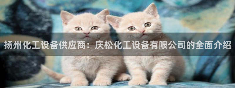 门徒娱乐平台代理公司