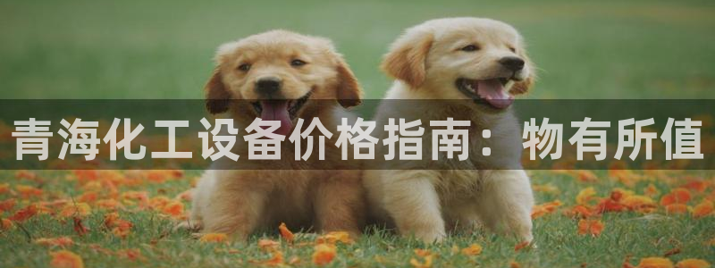 门徒娱乐怎么注册会员
