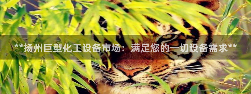 门徒平台测速网址是多少