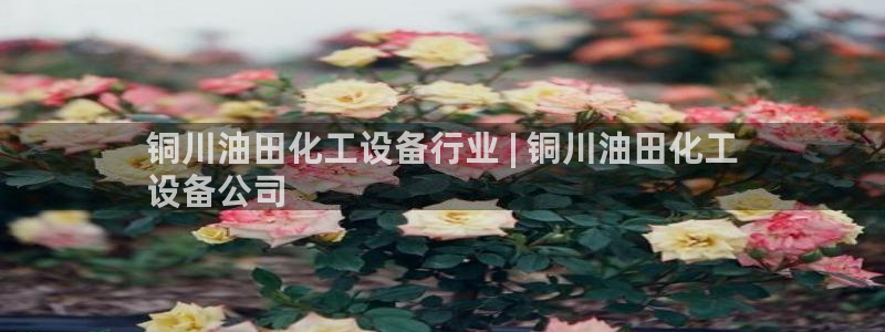 门徒平台注册中心官网查询