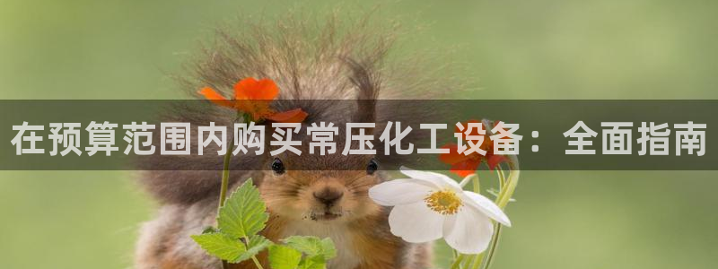 门徒娱乐多长时间了