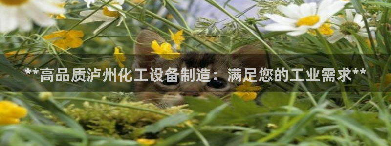 门徒娱乐官网