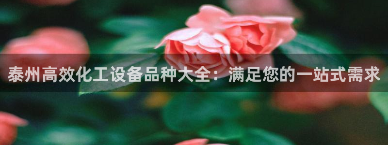门徒平台商 5O6917 平台