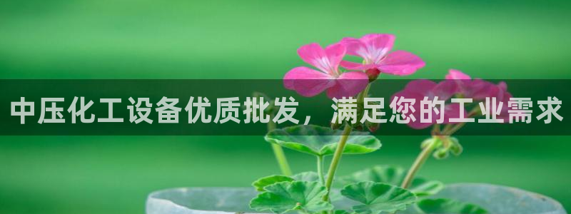 门徒娱乐总代理