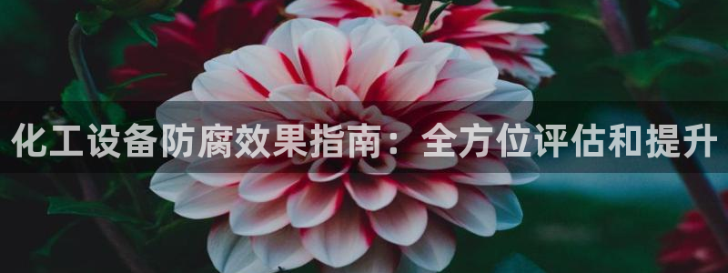 门徒娱乐注册官网