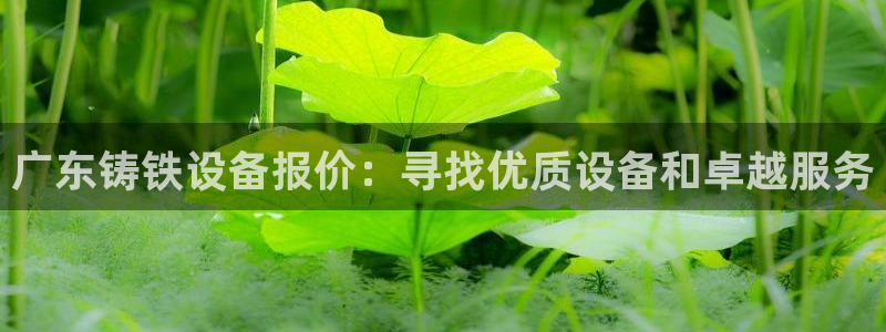 门徒娱乐总代理电话号码