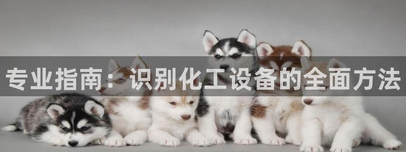门徒娱乐平台登录不了