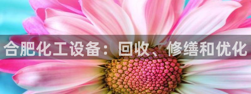 门徒娱乐注册登录地址