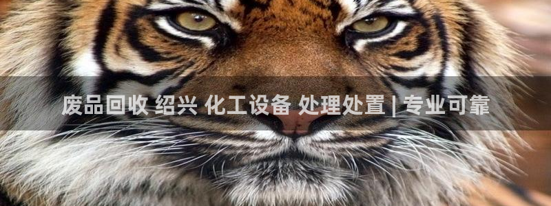门徒平台官网首页