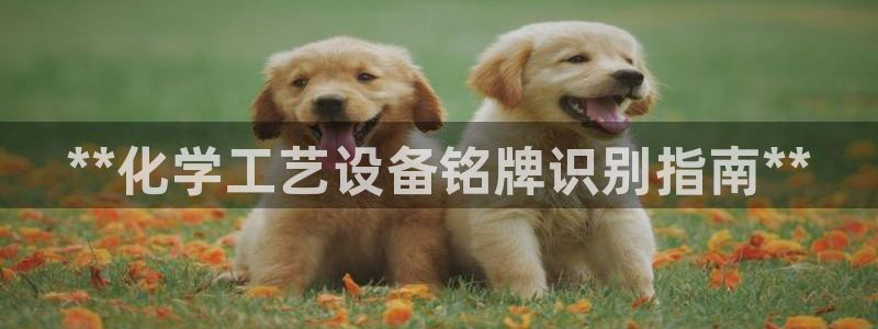 门徒娱乐平台登录1990