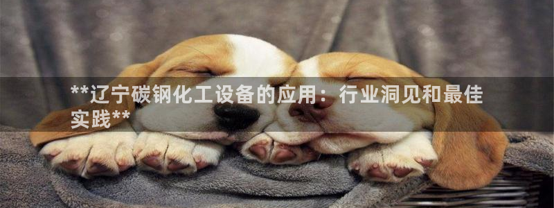 门徒娱乐用户评价与反馈