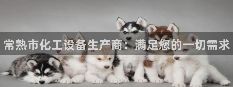 门徒平台登录注册流程