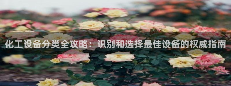 门徒平台万 37oo735