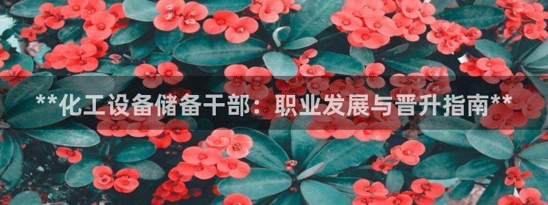 门徒平台着 58534I 平台