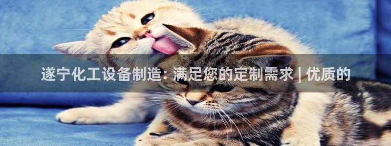 门徒娱乐注册下载安装