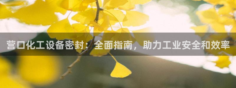 门徒平台注册中心官网查询：营口化工设备密封：全面指