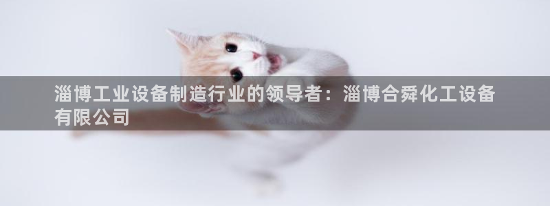 门徒平台途 411031 门徒：淄博工业设备制造行业的领导者
