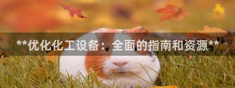 门徒娱乐徽信搜推客娃娃