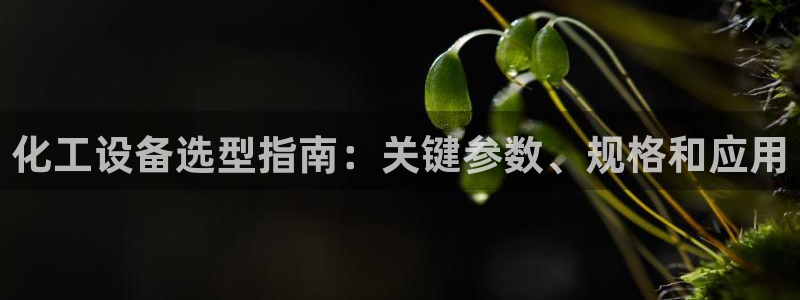 门徒平台管 5O6917 门徒