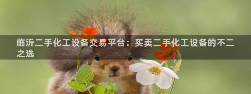 门徒娱乐会不会突然倒闭