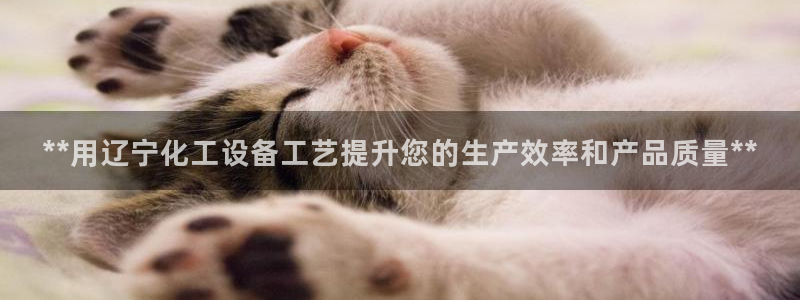 门徒平台能提款吗安全吗：**用辽宁化工设备工艺提升
