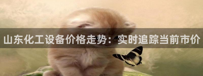 门徒娱乐是什么：山东化工设备价格走势：实时追踪当前