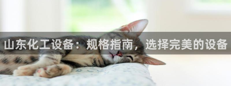 门徒娱乐项目介绍