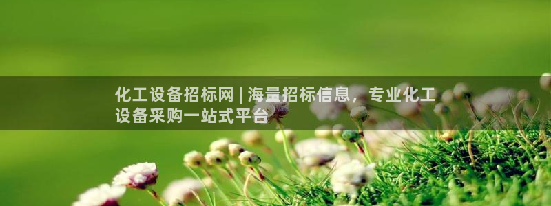 门徒娱乐用户评价与反馈