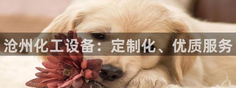 门徒平台商 5O6917 平台