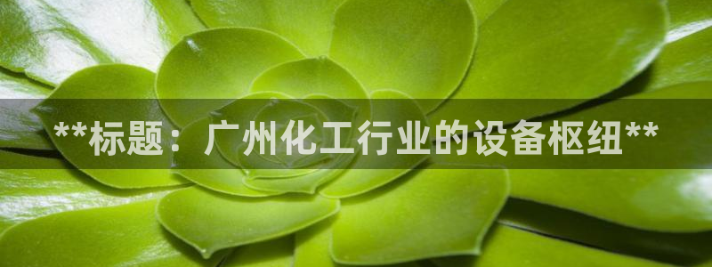 门徒娱乐是干嘛