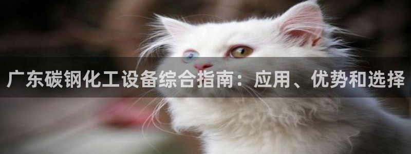 门徒娱乐的员工福利福利与价值