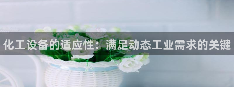 门徒平台上级