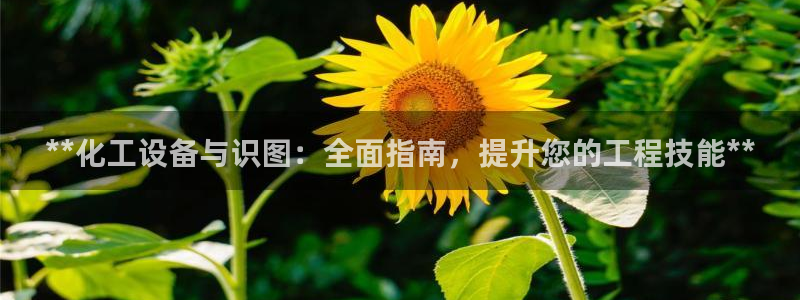 门徒娱乐创始人简介：**化工设备与识图：全面指南，