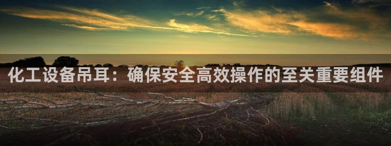 门徒娱乐是干嘛：化工设备吊耳：确保安全高效操作的至关重要组件