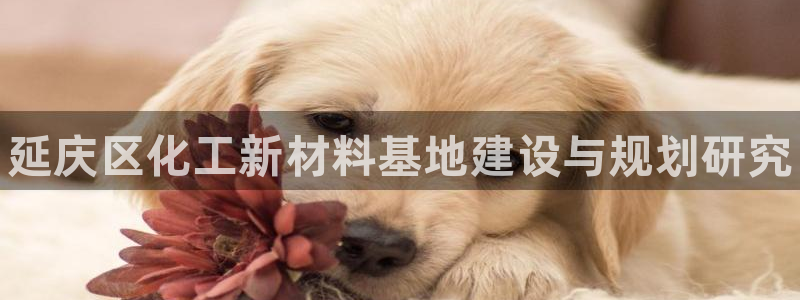 门徒平台注册登陆不上