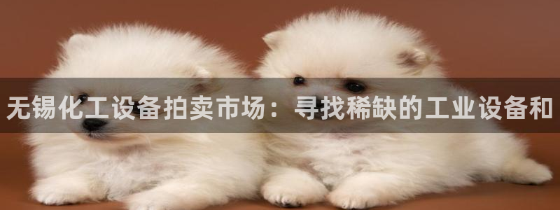 门徒娱乐注册地址