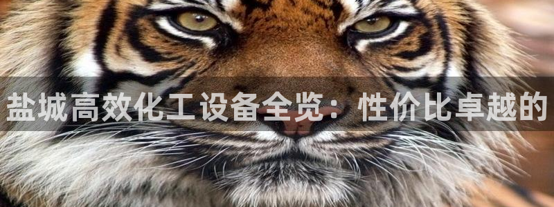 门徒娱乐怎么下载软件：盐城高效化工设备全览：性价比卓越的