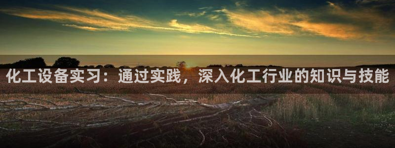 门徒平台马 411O31 门徒