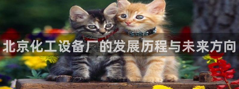 门徒娱乐充值安全吗是真的吗：北京化工设备厂的发展历