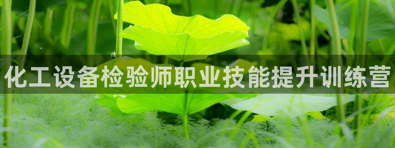 门徒平台地址：化工设备检验师职业技能提升训练营