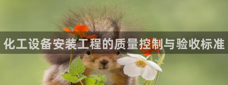 门徒平台注册登陆：化工设备安装工程的质量控制与验收