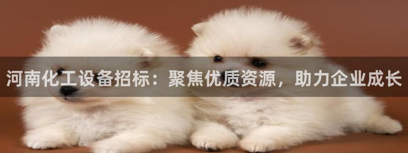 门徒娱乐平台登录地址