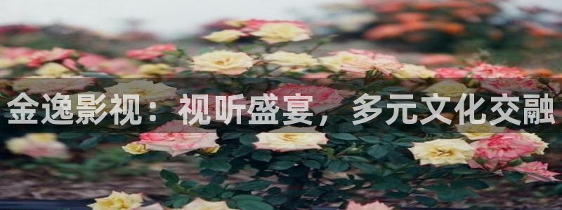 天美麻花视频：金逸影视：视听盛宴，多元文化交融