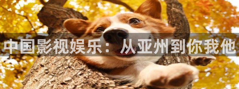 麻花机做麻花视频：中国影视娱乐：从亚州到你我他