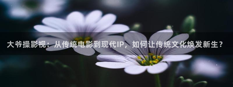 老式麻花视频：大爷操影视：从传统电影到现代IP，如何让传统文化焕发新生？
